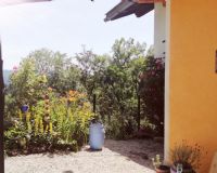 Psychotherapie in der Natur